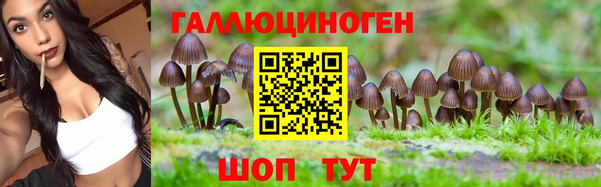 Галлюциногенные грибы Magic Shrooms Азов